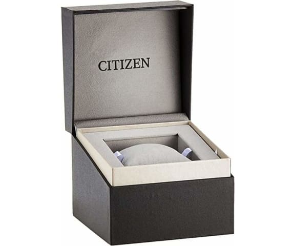 CITIZEN AP1052-00A Eco-Drive Grand Moon Phase Men’s Leather Watch