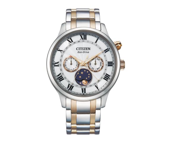 CITIZEN AP1054-80A Eco Drive Analog Silver Stainless Steel Men’s Watch