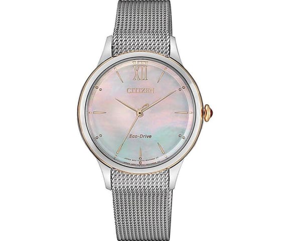CITIZEN EM0816-88Y Eco-Drive Analog Stainless Steel Silver & Fancy Color Dial Womens Watch
